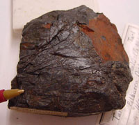 tantale